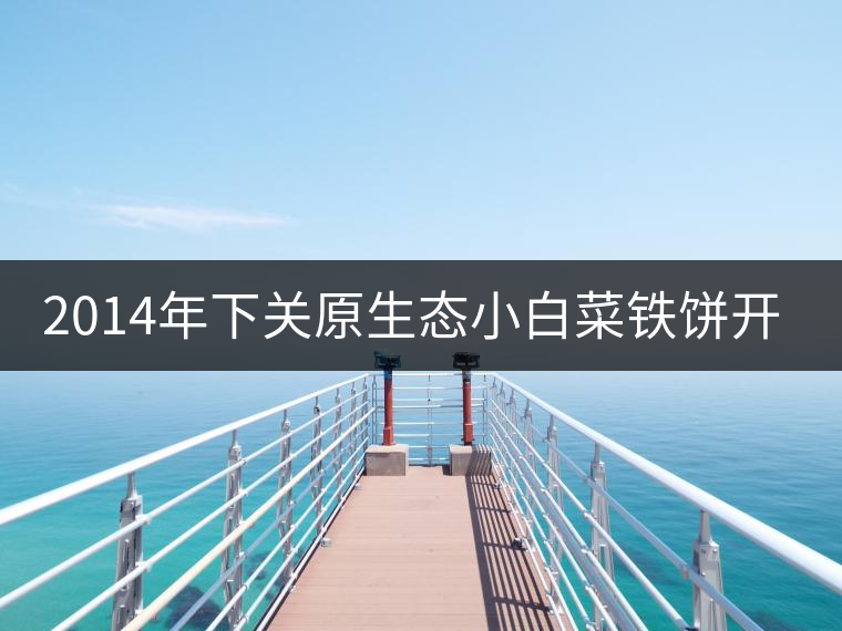 2014年下關(guān)原生態(tài)小白菜鐵餅開(kāi)湯品鑒