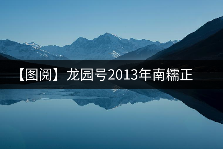 【圖閱】龍園號(hào)2013年南糯正山普洱生茶開湯