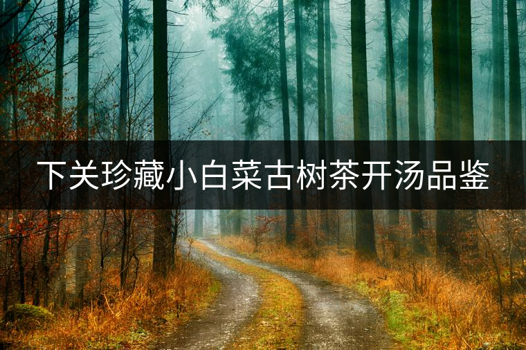 下關(guān)珍藏小白菜古樹茶開湯品鑒 下關(guān)珍藏小白菜古樹茶開湯品鑒