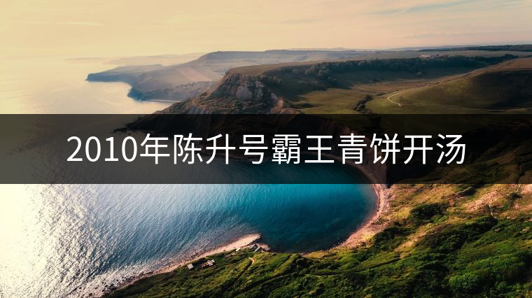 2010年陳升號霸王青餅開湯 2010年陳升號霸王青餅開湯