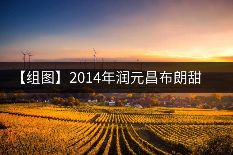 【組圖】2014年潤(rùn)元昌布朗甜茶開(kāi)湯 【組圖】2014年潤(rùn)元昌布朗甜茶開(kāi)湯