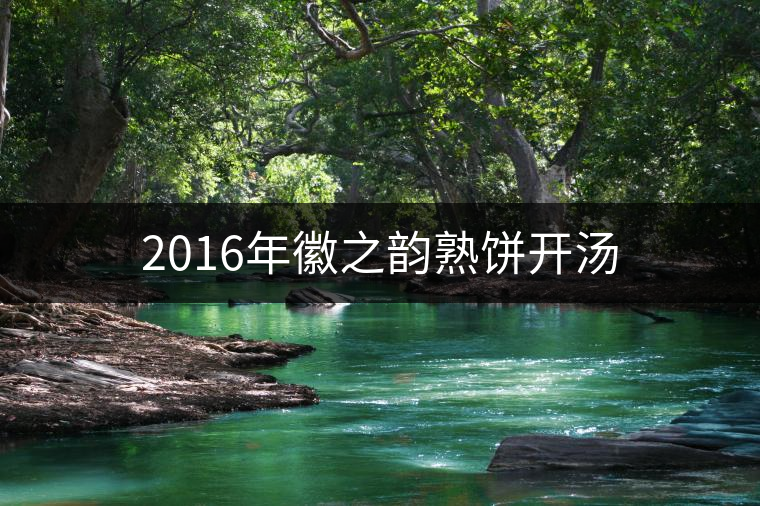 2016年徽之韻熟餅開湯 2016年徽之韻熟餅開湯