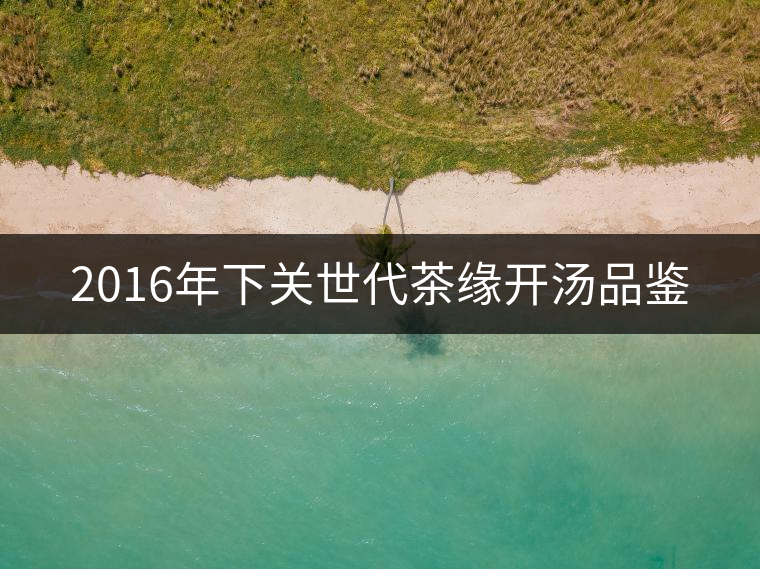 2016年下關(guān)世代茶緣開(kāi)湯品鑒