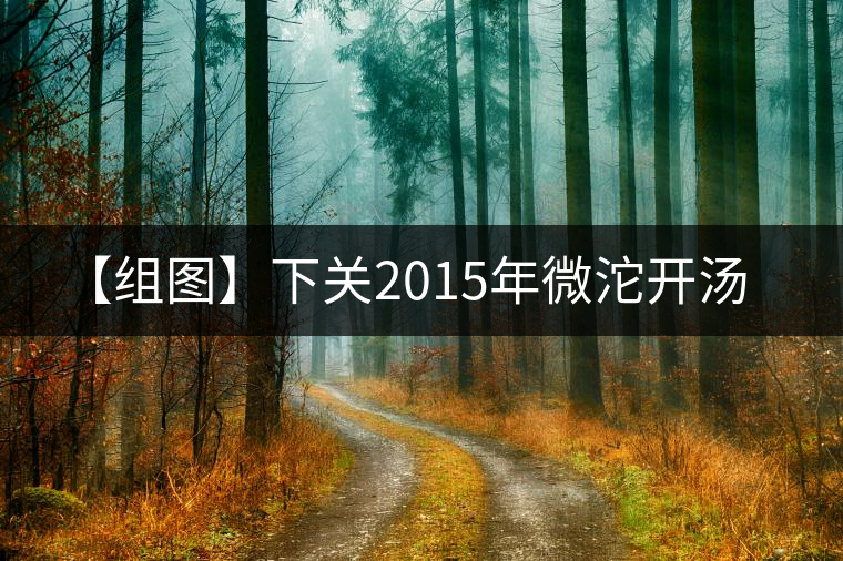【組圖】下關(guān)2015年微沱開(kāi)湯