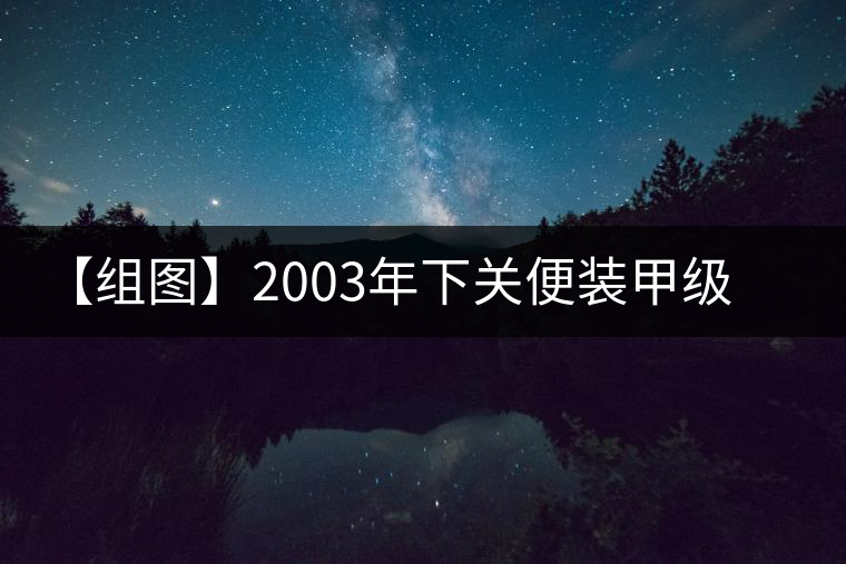【組圖】2003年下關(guān)便裝甲級沱茶開湯