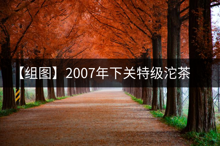 【組圖】2007年下關特級沱茶開湯 【組圖】2007年下關特級沱茶開湯