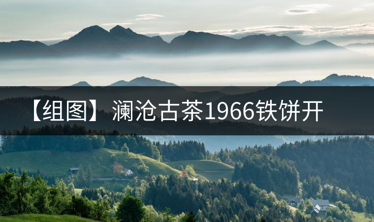【組圖】瀾滄古茶1966鐵餅開湯 【組圖】瀾滄古茶1966鐵餅開湯
