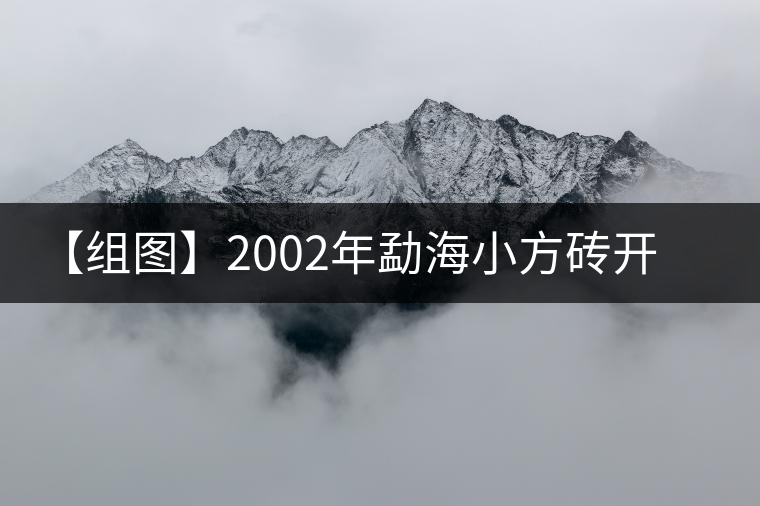 【組圖】2002年勐海小方磚開湯 【組圖】2002年勐海小方磚開湯