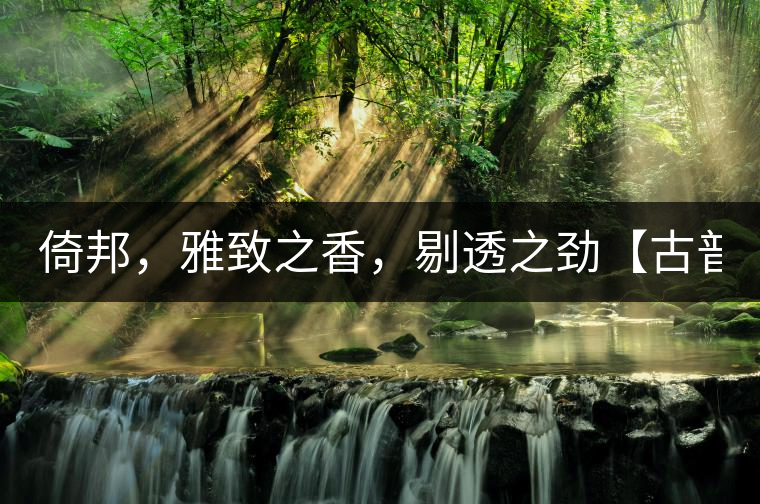 倚邦，雅致之香，剔透之勁【古普十二山品鑒】