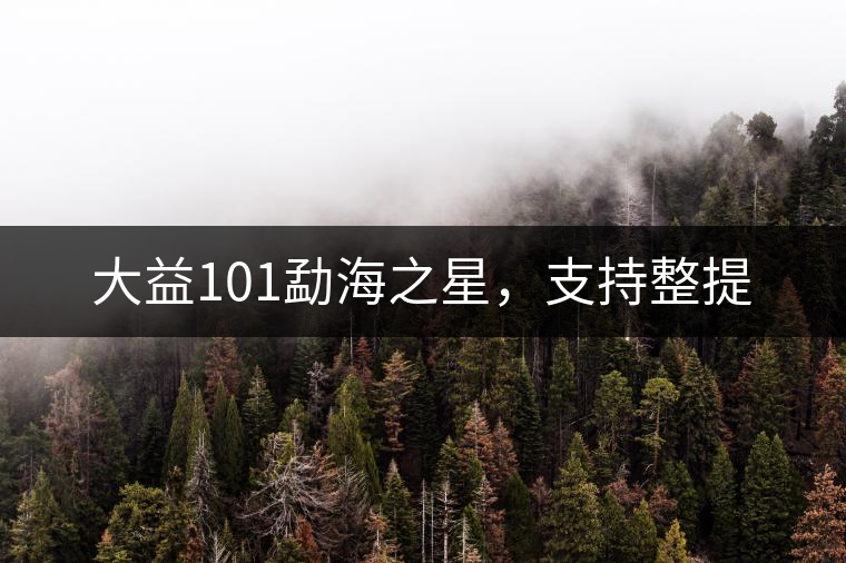 大益101勐海之星，支持整提