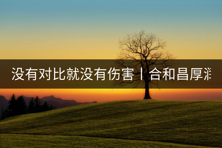 沒有對(duì)比就沒有傷害丨合和昌厚潤PK大益7572 沒有對(duì)比就沒有傷害丨合和昌厚潤PK大益7572