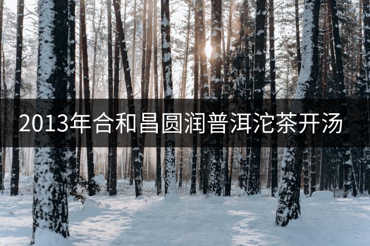 2013年合和昌圓潤(rùn)普洱沱茶開湯品鑒 2013年合和昌圓潤(rùn)普洱沱茶開湯品鑒