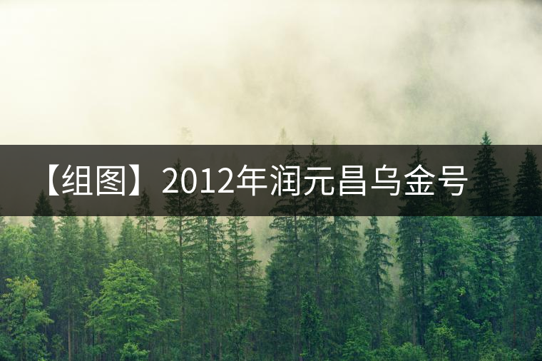 【組圖】2012年潤元昌烏金號普洱生茶開湯 【組圖】2012年潤元昌烏金號普洱生茶開湯