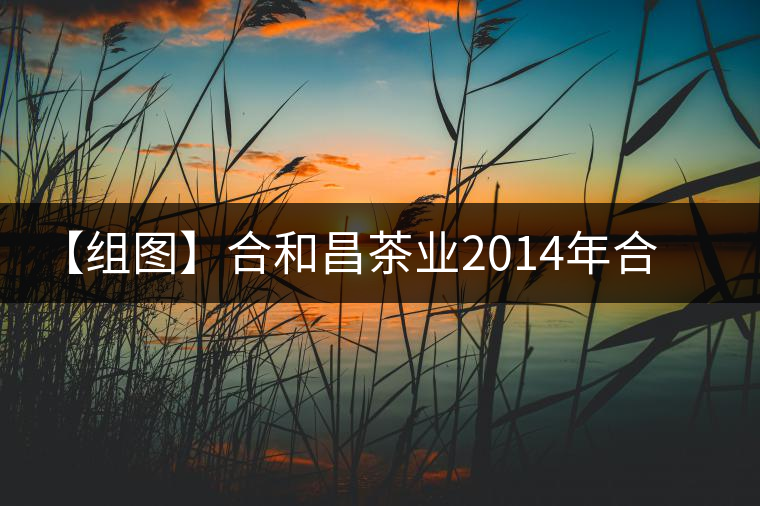【組圖】合和昌茶業(yè)2014年合和青餅開湯 【組圖】合和昌茶業(yè)2014年合和青餅開湯
