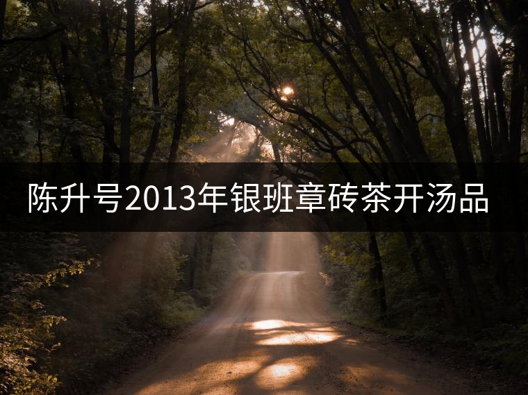 陳升號(hào)2013年銀班章磚茶開(kāi)湯品鑒 陳升號(hào)2013年銀班章磚茶開(kāi)湯品鑒