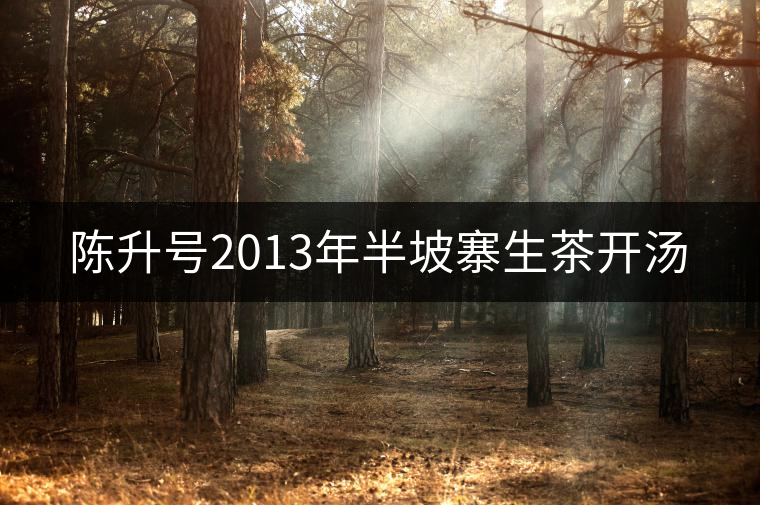 陳升號2013年半坡寨生茶開湯