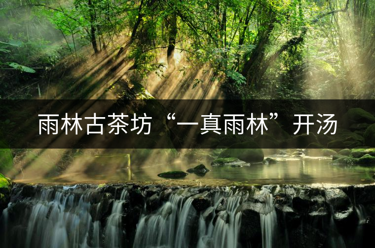 雨林古茶坊“一真雨林”開(kāi)湯 雨林古茶坊“一真雨林”開(kāi)湯
