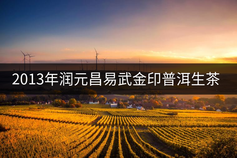 2013年潤元昌易武金印普洱生茶開湯 2013年潤元昌易武金印普洱生茶開湯