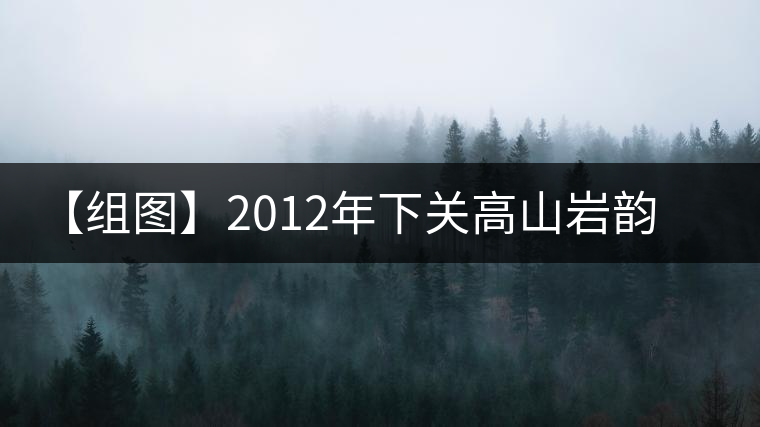 【組圖】2012年下關(guān)高山巖韻餅茶開湯 【組圖】2012年下關(guān)高山巖韻餅茶開湯