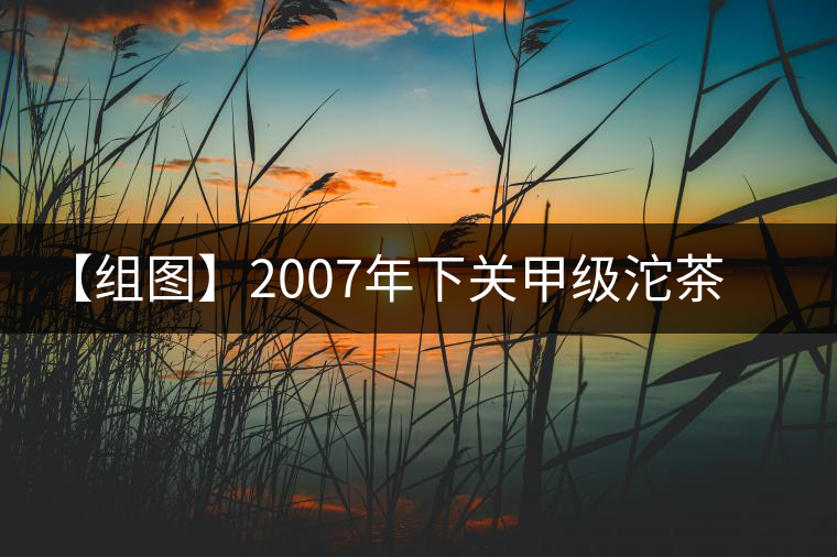 【組圖】2007年下關(guān)甲級(jí)沱茶開湯