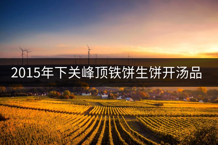 2015年下關峰頂鐵餅生餅開湯品鑒 2015年下關峰頂鐵餅生餅開湯品鑒