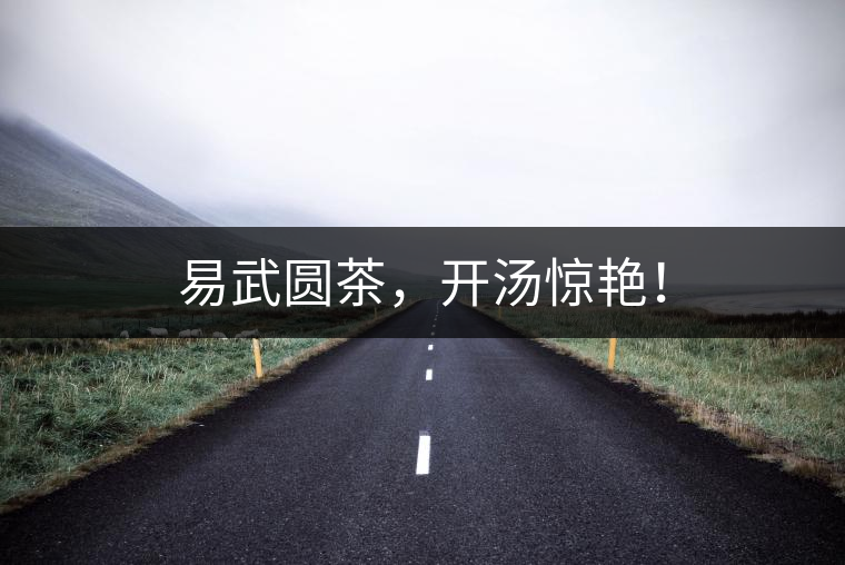 易武圓茶，開湯驚艷！