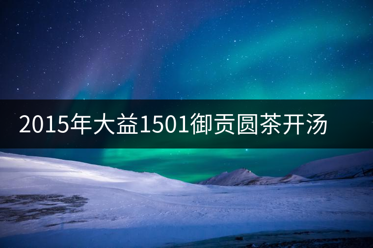 2015年大益1501御貢圓茶開湯品鑒 2015年大益1501御貢圓茶開湯品鑒