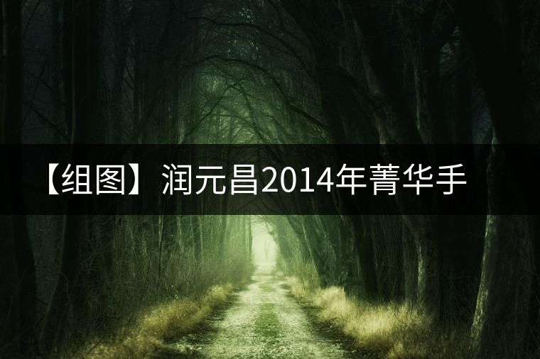 【組圖】潤元昌2014年菁華手工沱茶開湯 【組圖】潤元昌2014年菁華手工沱茶開湯
