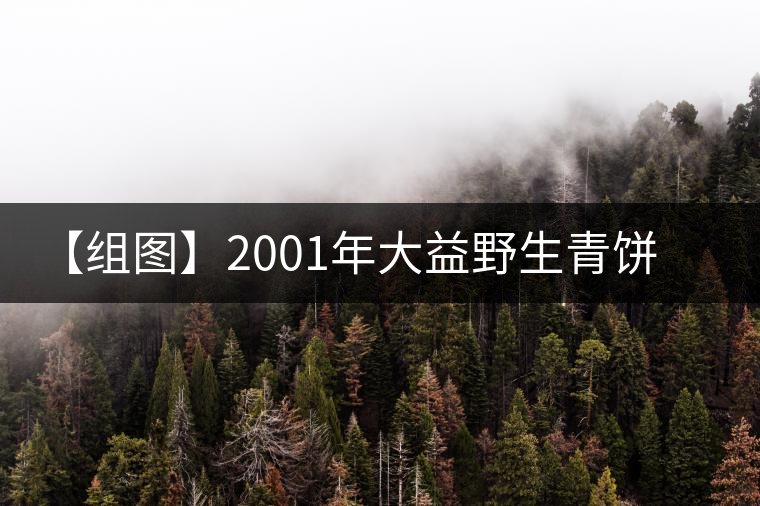 【組圖】2001年大益野生青餅開(kāi)湯 【組圖】2001年大益野生青餅開(kāi)湯