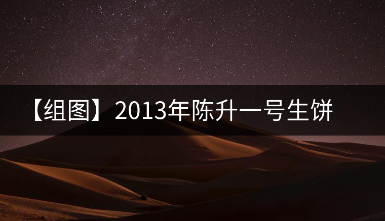 【組圖】2013年陳升一號(hào)生餅開湯