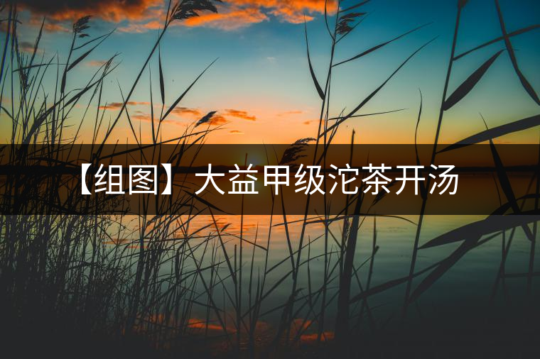 【組圖】大益甲級沱茶開湯 【組圖】大益甲級沱茶開湯