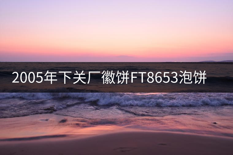 2005年下關廠徽餅FT8653泡餅開湯 2005年下關廠徽餅FT8653泡餅開湯