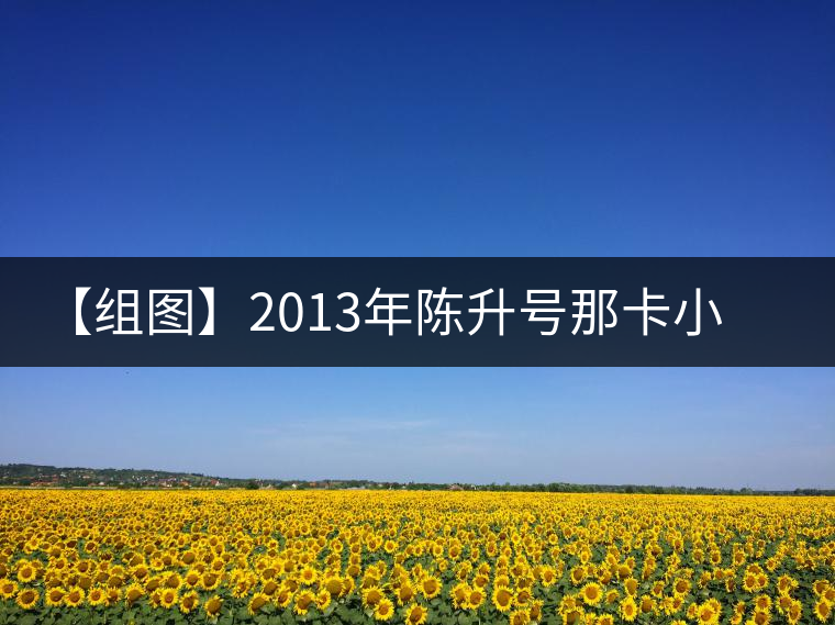 【組圖】2013年陳升號(hào)那卡小餅開湯 【組圖】2013年陳升號(hào)那卡小餅開湯