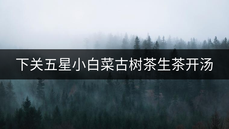 下關(guān)五星小白菜古樹茶生茶開湯 下關(guān)五星小白菜古樹茶生茶開湯