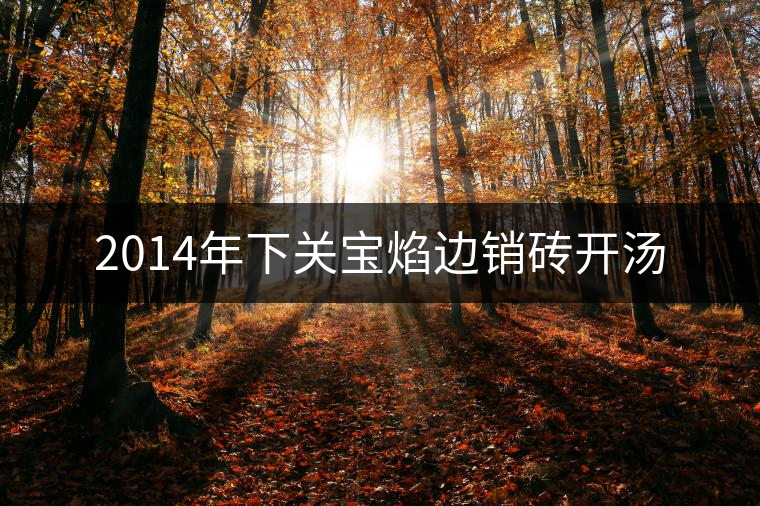 2014年下關(guān)寶焰邊銷磚開(kāi)湯