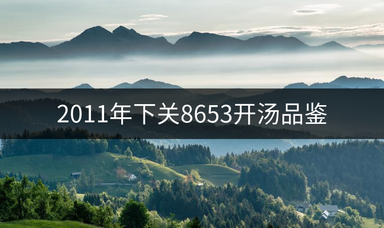 2011年下關(guān)8653開湯品鑒 2011年下關(guān)8653開湯品鑒