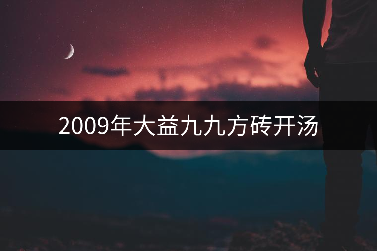 2009年大益九九方磚開湯