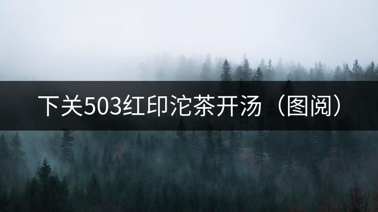 下關(guān)503紅印沱茶開(kāi)湯（圖閱）