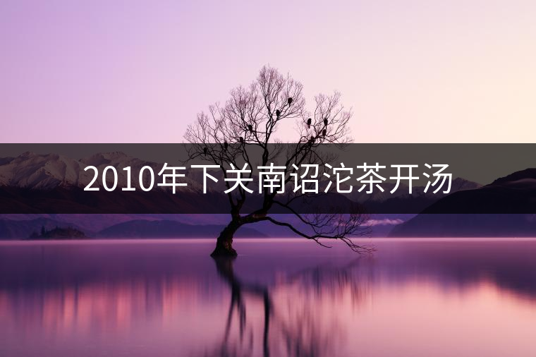 2010年下關南詔沱茶開湯 2010年下關南詔沱茶開湯