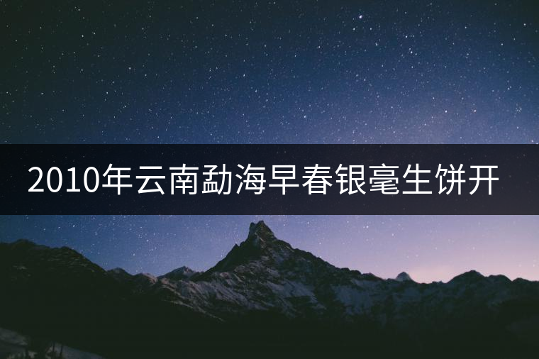 2010年云南勐海早春銀毫生餅開湯