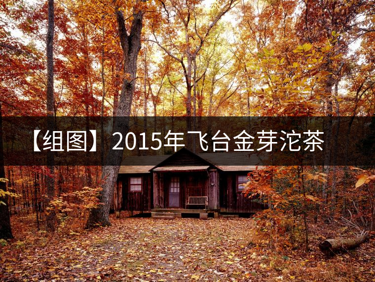 【組圖】2015年飛臺金芽沱茶開湯 【組圖】2015年飛臺金芽沱茶開湯