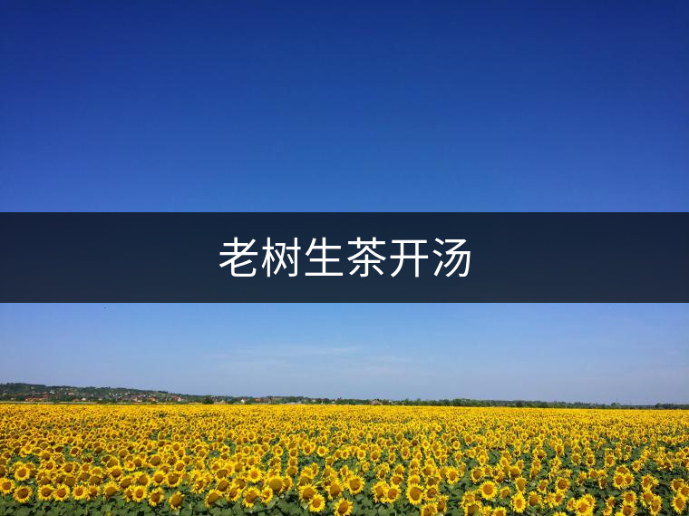老樹(shù)生茶開(kāi)湯 老樹(shù)生茶開(kāi)湯