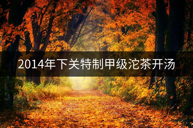 2014年下關(guān)特制甲級(jí)沱茶開(kāi)湯