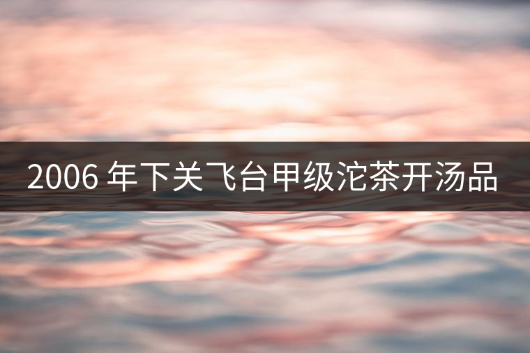 2006 年下關(guān)飛臺甲級沱茶開湯品鑒 2006 年下關(guān)飛臺甲級沱茶開湯品鑒