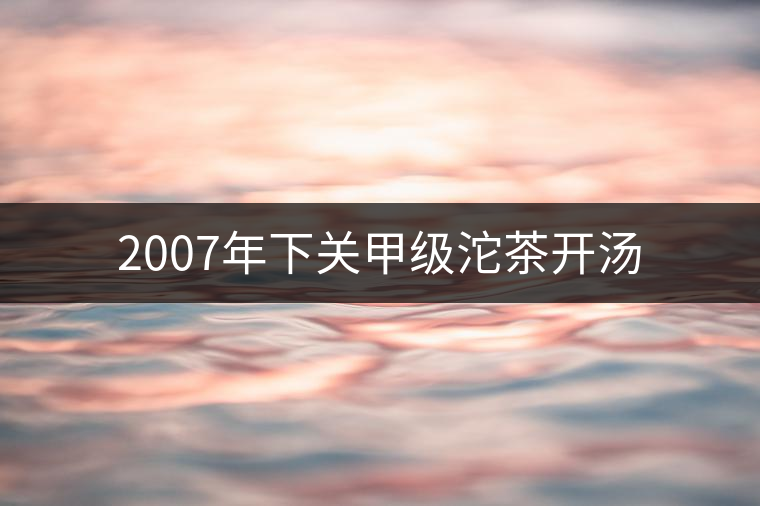 2007年下關(guān)甲級(jí)沱茶開湯 2007年下關(guān)甲級(jí)沱茶開湯