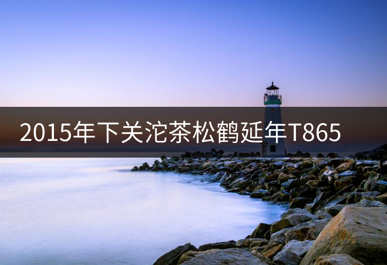 2015年下關(guān)沱茶松鶴延年T8653生茶品飲 2015年下關(guān)沱茶松鶴延年T8653生茶品飲
