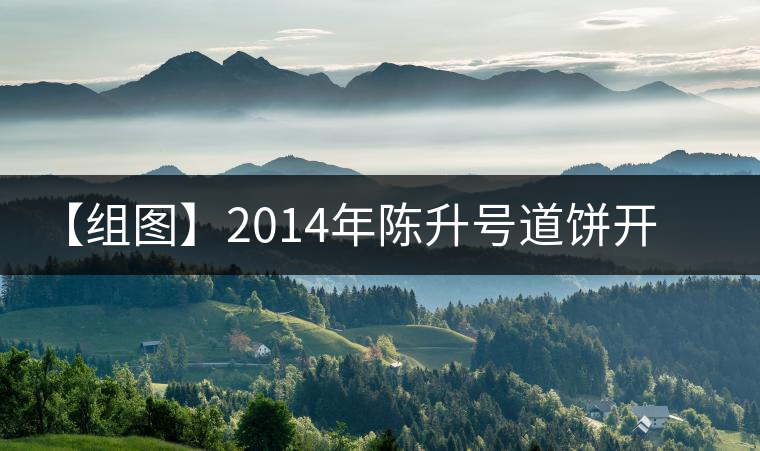 【組圖】2014年陳升號(hào)道餅開湯