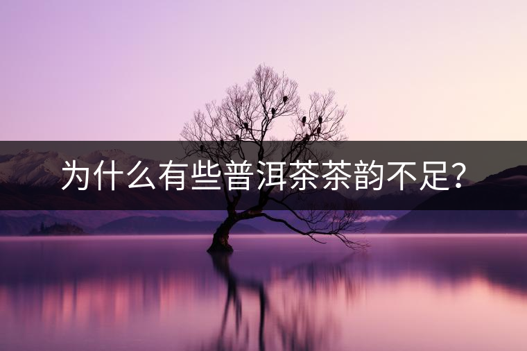 為什么有些普洱茶茶韻不足？