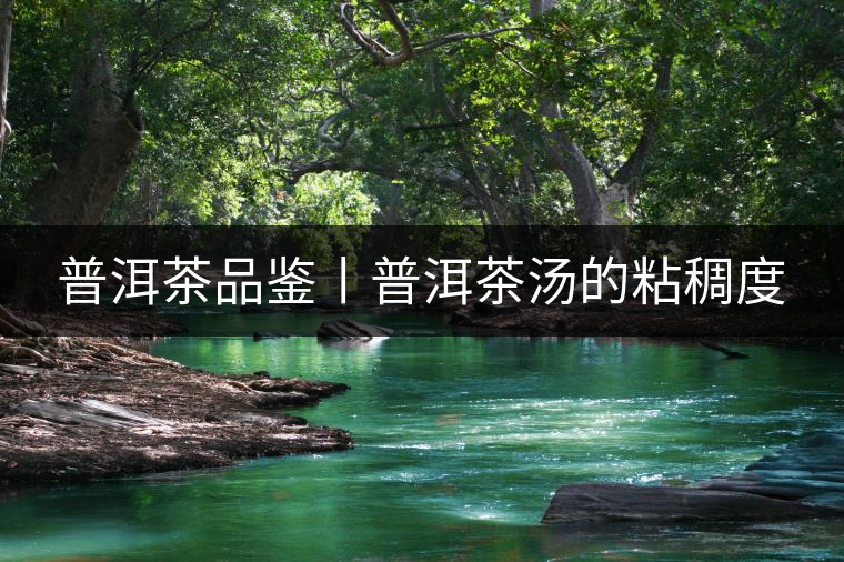 普洱茶品鑒丨普洱茶湯的粘稠度 普洱茶品鑒丨普洱茶湯的粘稠度