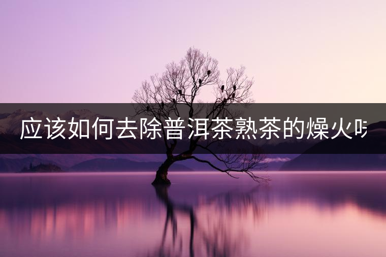 應該如何去除普洱茶熟茶的燥火味？